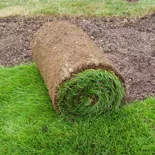 installation de pelouse en rouleau